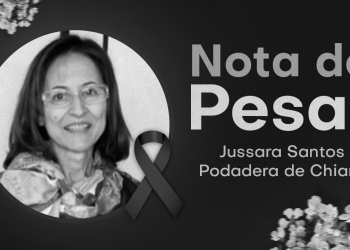 LUTO | Sintrasp lamenta profundamente o falecimento da Professora Jussara Santos Podadera de Chiara